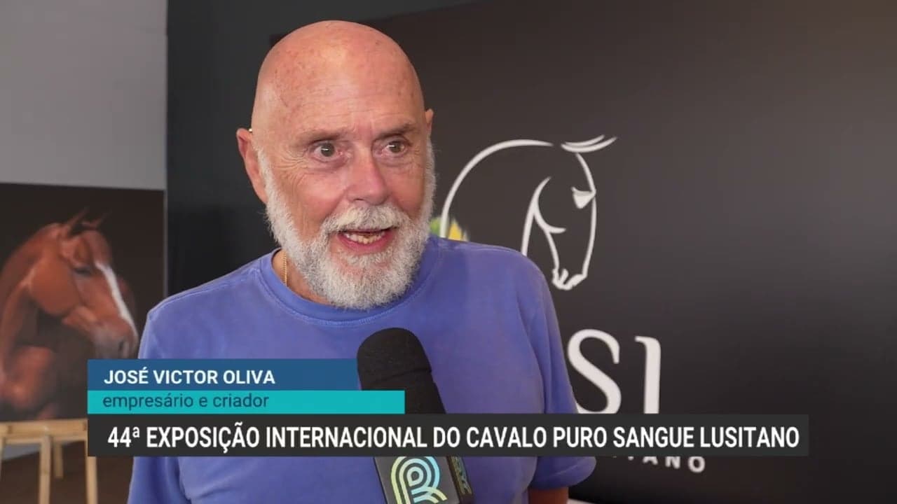 Exposição Internacional dos Cavalos Lusitanos começa hoje em SP