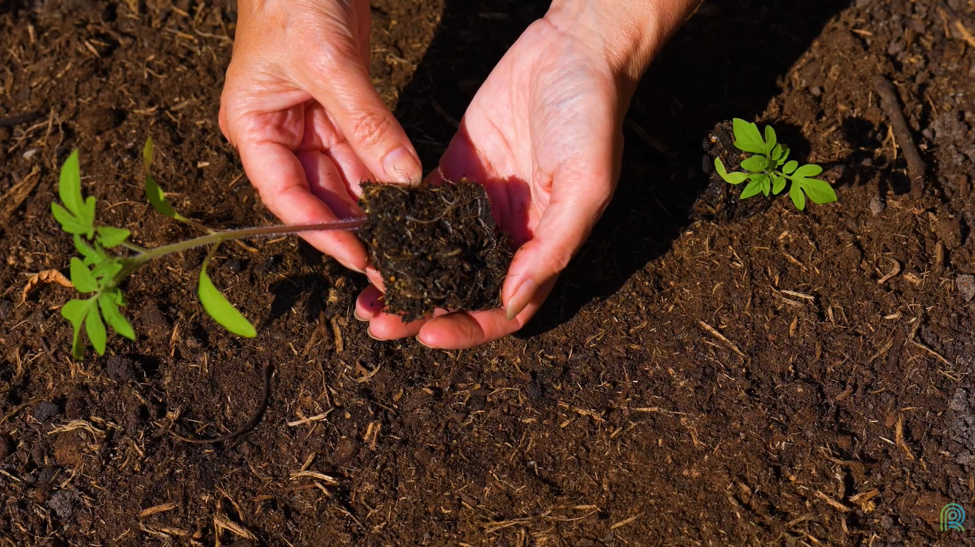 Agrofotônica revoluciona análise de solo no Brasil