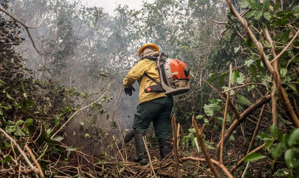 Amazonas registra 540 novas queimadas em dois dias, alerta autoridades