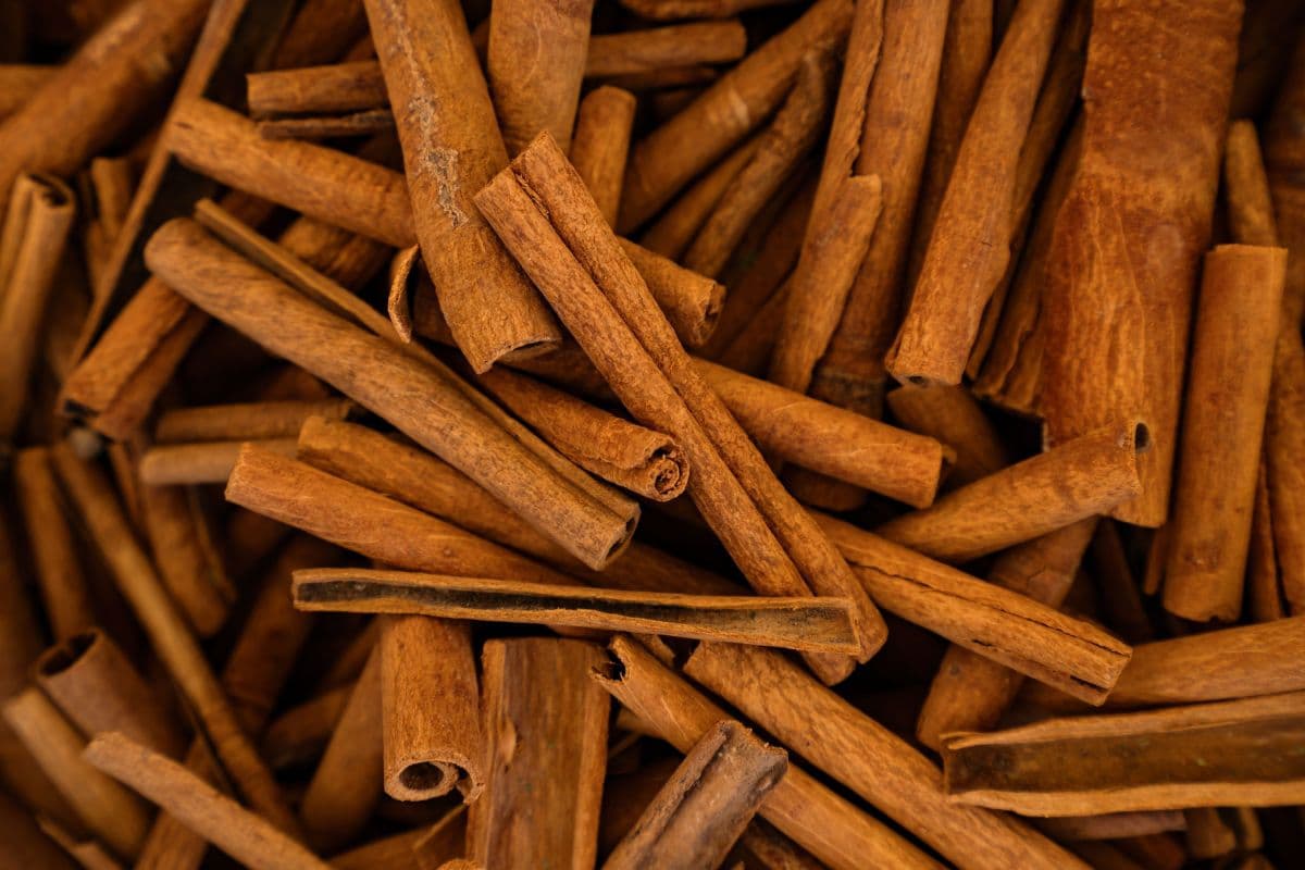Canela e Feng Shui: como o armazenamento influencia na prosperidade