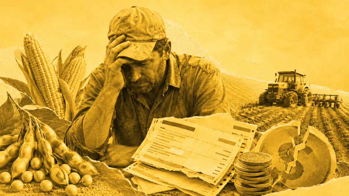 Produtores rurais enfrentam endividamento sob altas taxas de juros
