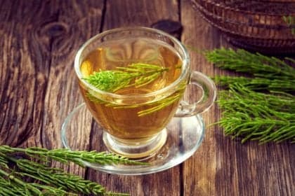 Cuidados ao consumir chás: ervas que exigem atenção