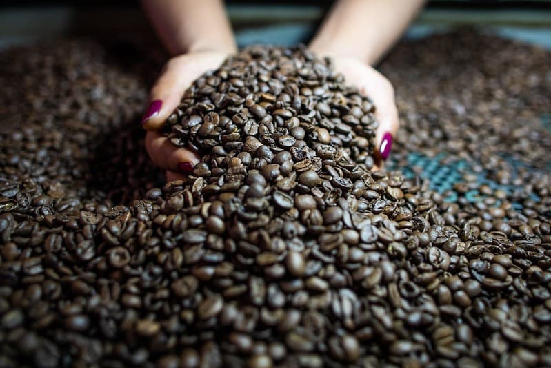 Café registra queda após alta histórica em Nova York