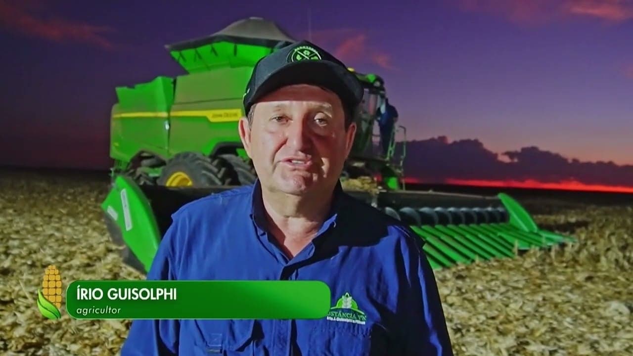 Colheita de milho em Mato Grosso supera expectativas e atrai líderes