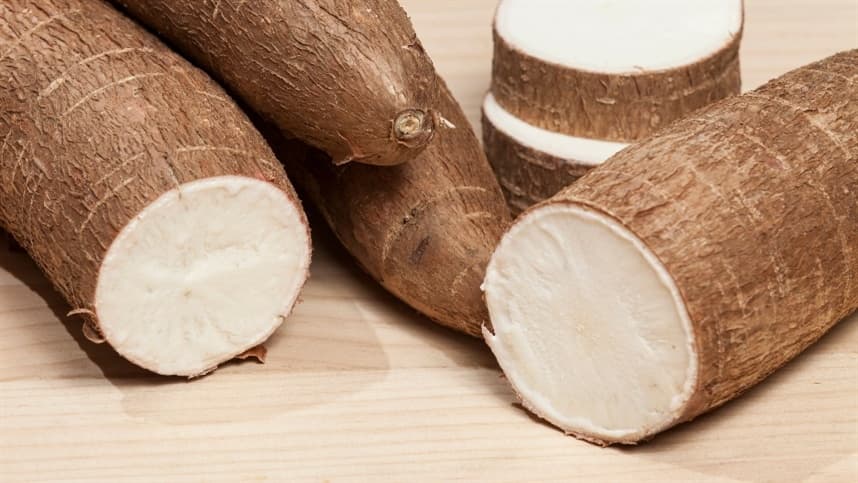 Movimentação no mercado de mandioca aquece preços e estoques