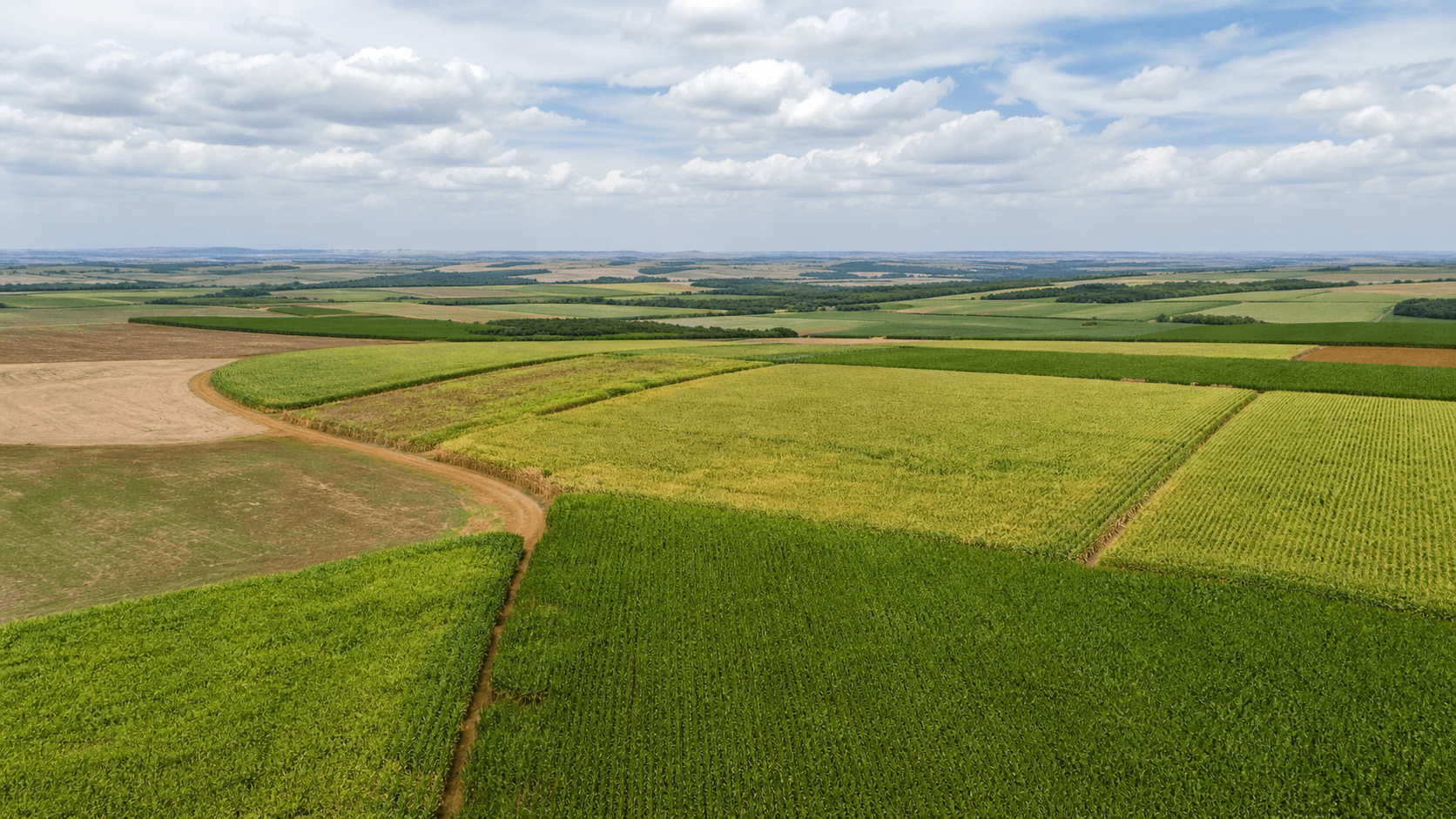 Área plantada com milho no Paraná cresce 31% em 2025/26