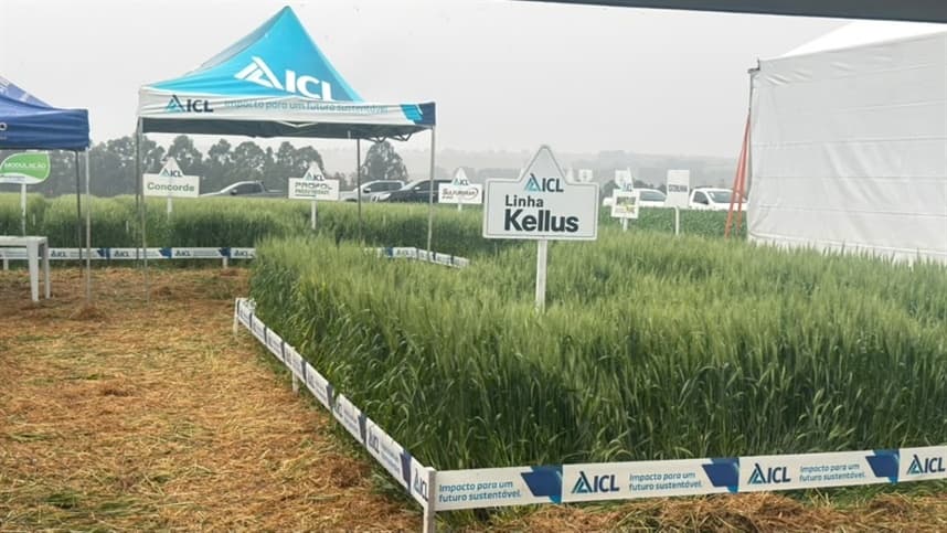 ICL participa da 10ª edição do abcConecta Show em Ponta Grossa