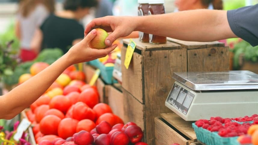 MDA abre edital para apoiar agricultura familiar com R$ 50 milhões