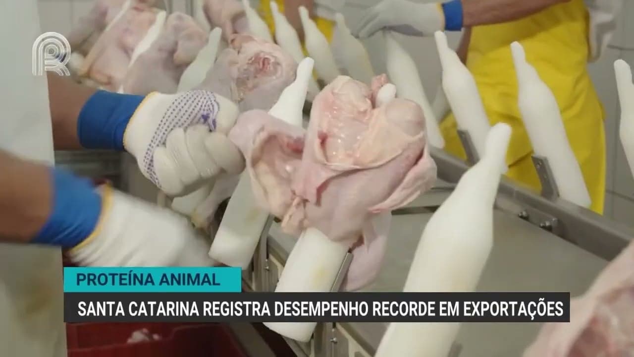 Santa Catarina registra recorde nas exportações de carnes em 2023