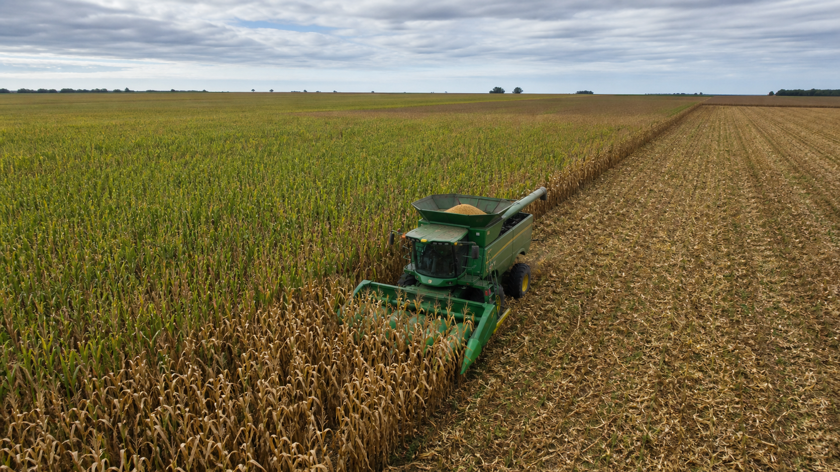 Produção de milho no Brasil deve atingir 115,8 mi de toneladas em 2026