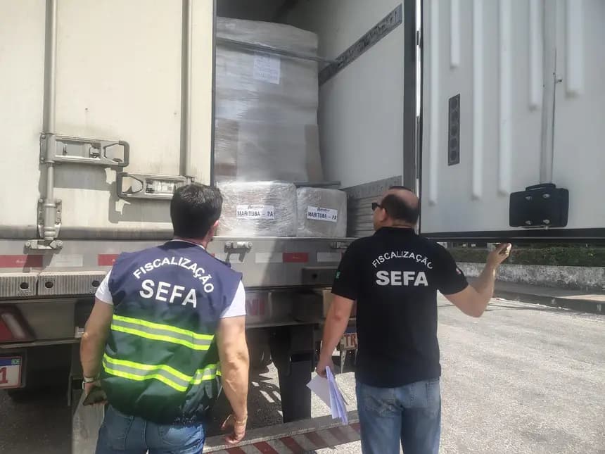 Fiscalização no Pará apreende 27 toneladas de polpas de frutas