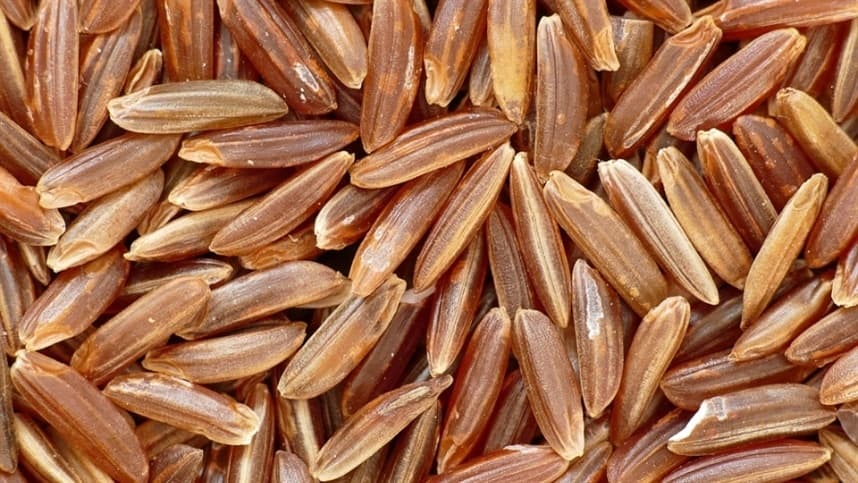 Vendas de arroz em casca do Rio Grande do Sul crescem, impulsionando o mercado