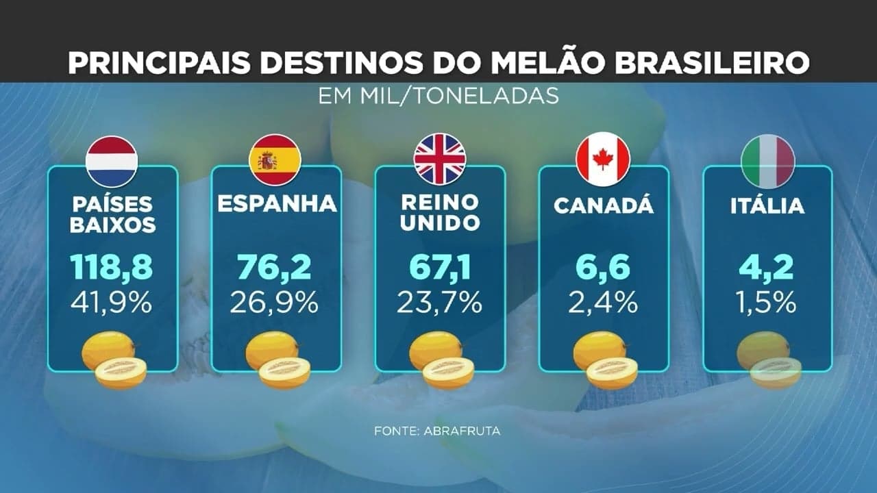 Exportações de melão do Brasil caem 60% em agosto de 2023