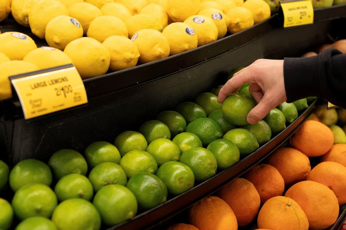 Brasil busca fortalecer exportações de frutas na Fruit Attraction 2023