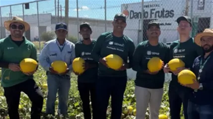 Estudantes do CEF em Juazeiro colhem 750 kg de melão premium