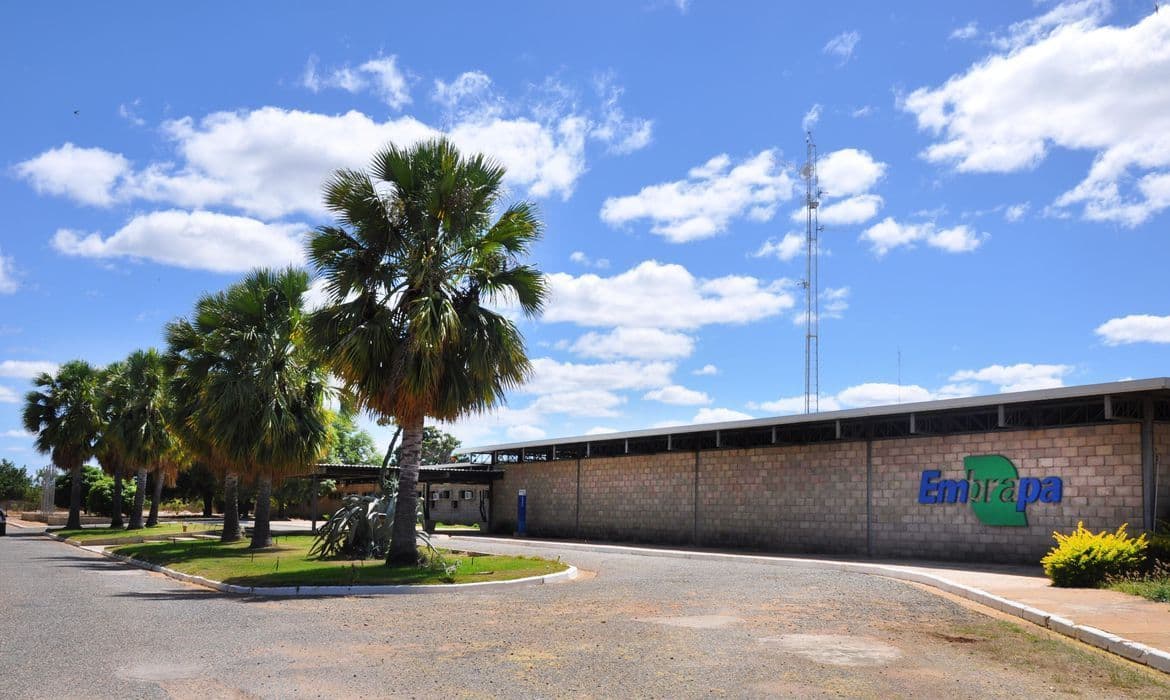 Ministério da Agricultura enfrenta desafios orçamentários no Congresso