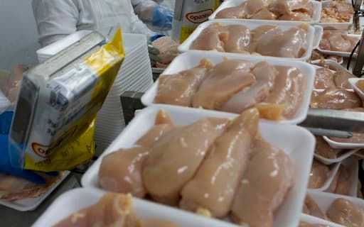 Brasil retoma exportações de frango após aceitação da UE sobre antimicrobianos