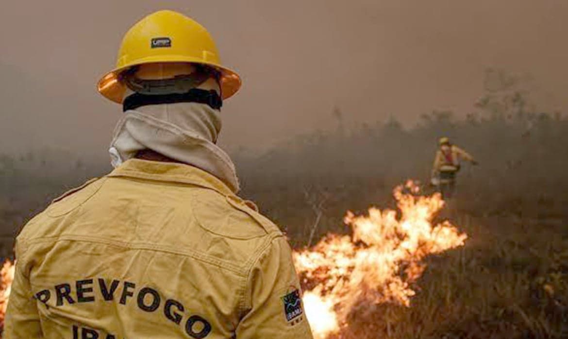 Mais de 300 focos de incêndio são extintos no Amazonas em cinco dias