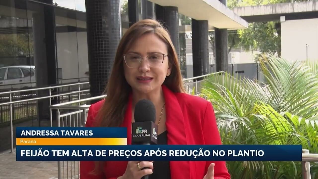 Aumento nos preços do feijão no Brasil é reflexo da redução da área plantada