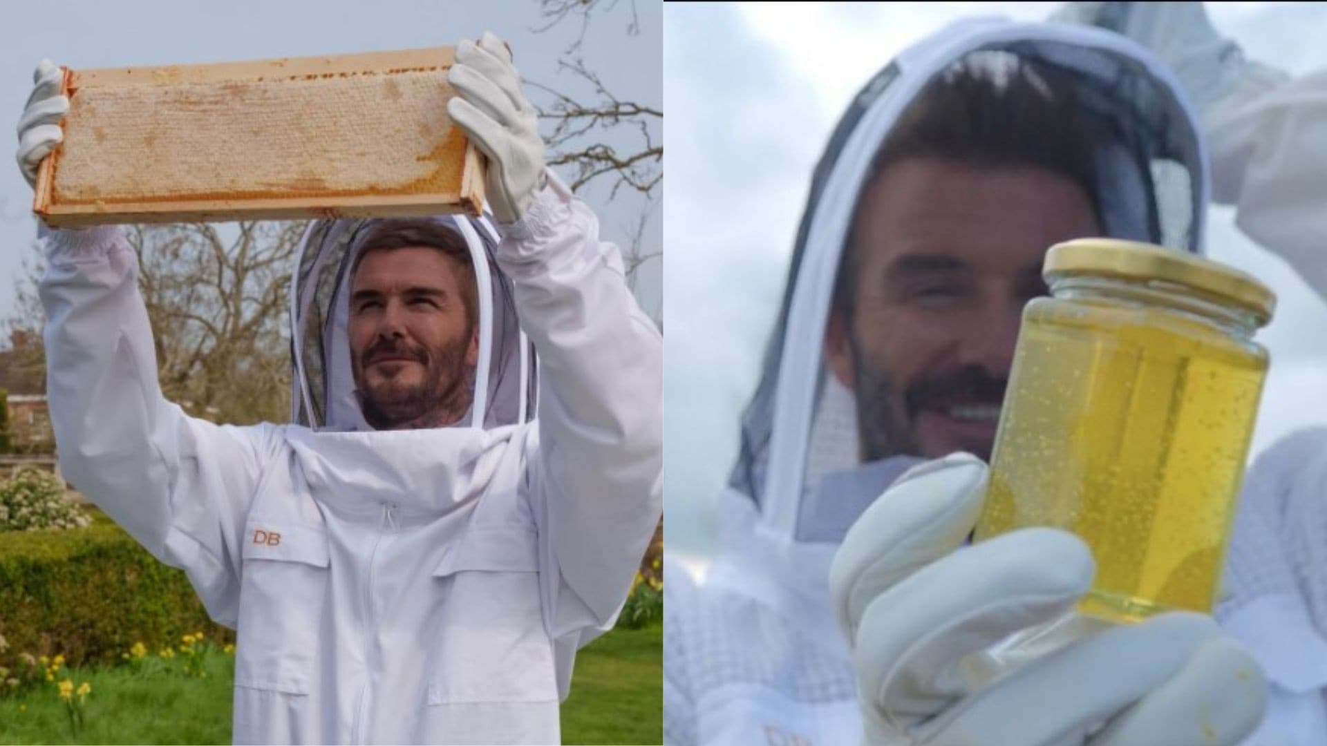 David Beckham celebra Dia Mundial das Abelhas com apicultura
