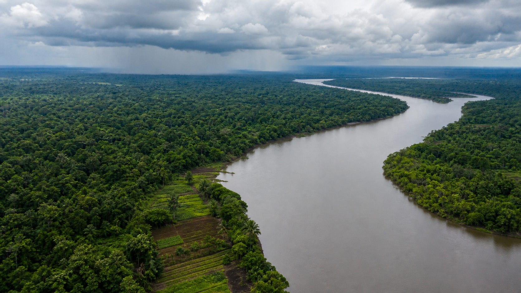 Projeto de Lei amplia segurança alimentar na Amazônia Legal
