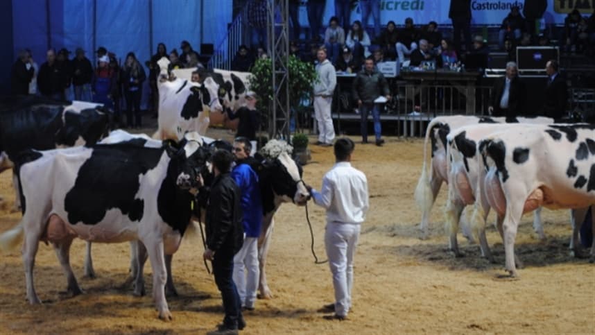 Ourofino marca presença no Agroleite 2026 em Castro, Paraná