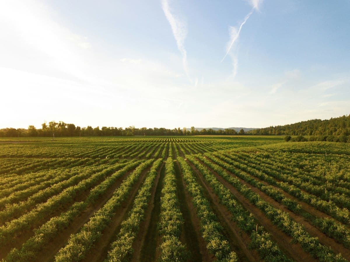 Unesp lança portfólio para conectar agro à pesquisa em biodiversidade