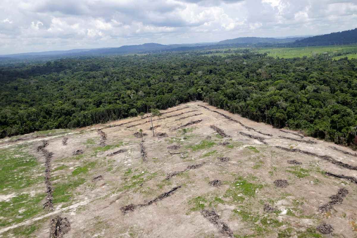 Bancos deverão recusar financiamento em caso de desmatamento irregular