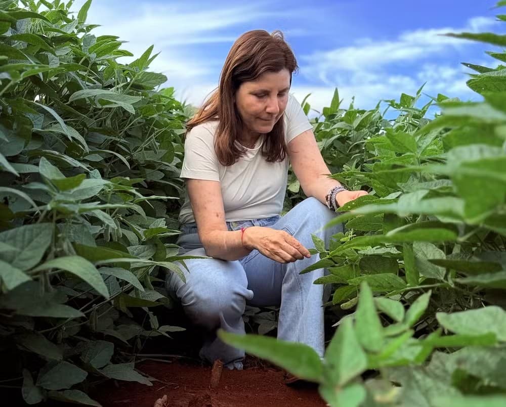 Agronegócio brasileiro enfrenta desafios e reduz área plantada