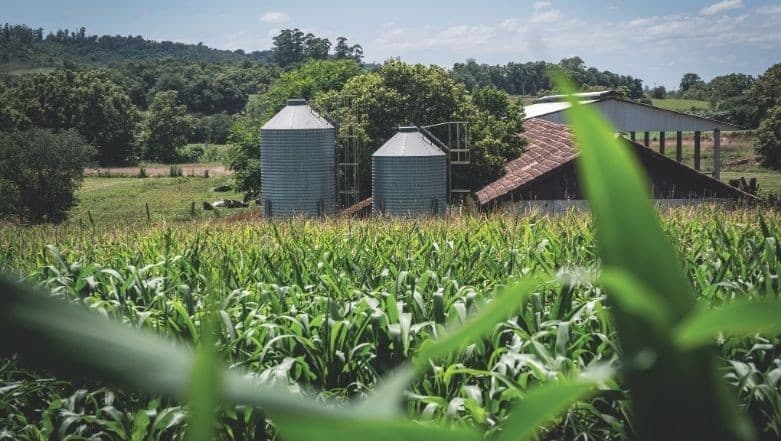 Plano Safra 2026/27 mantém limites de crédito rural congelados