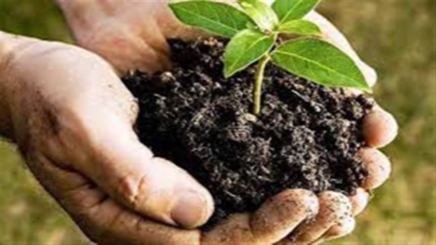 Mercado de bioinsumos no Brasil cresce 20% e supera global