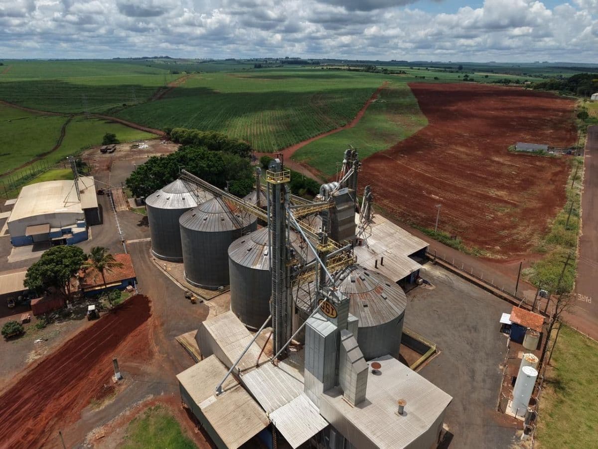 Brasil enfrenta déficit de armazenamento de grãos, aponta estudo