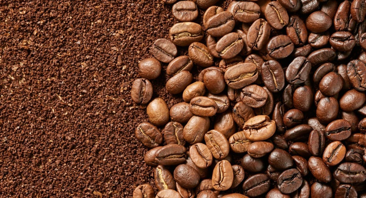 Safra de café brasileira pode ser recorde, mas preços continuam altos
