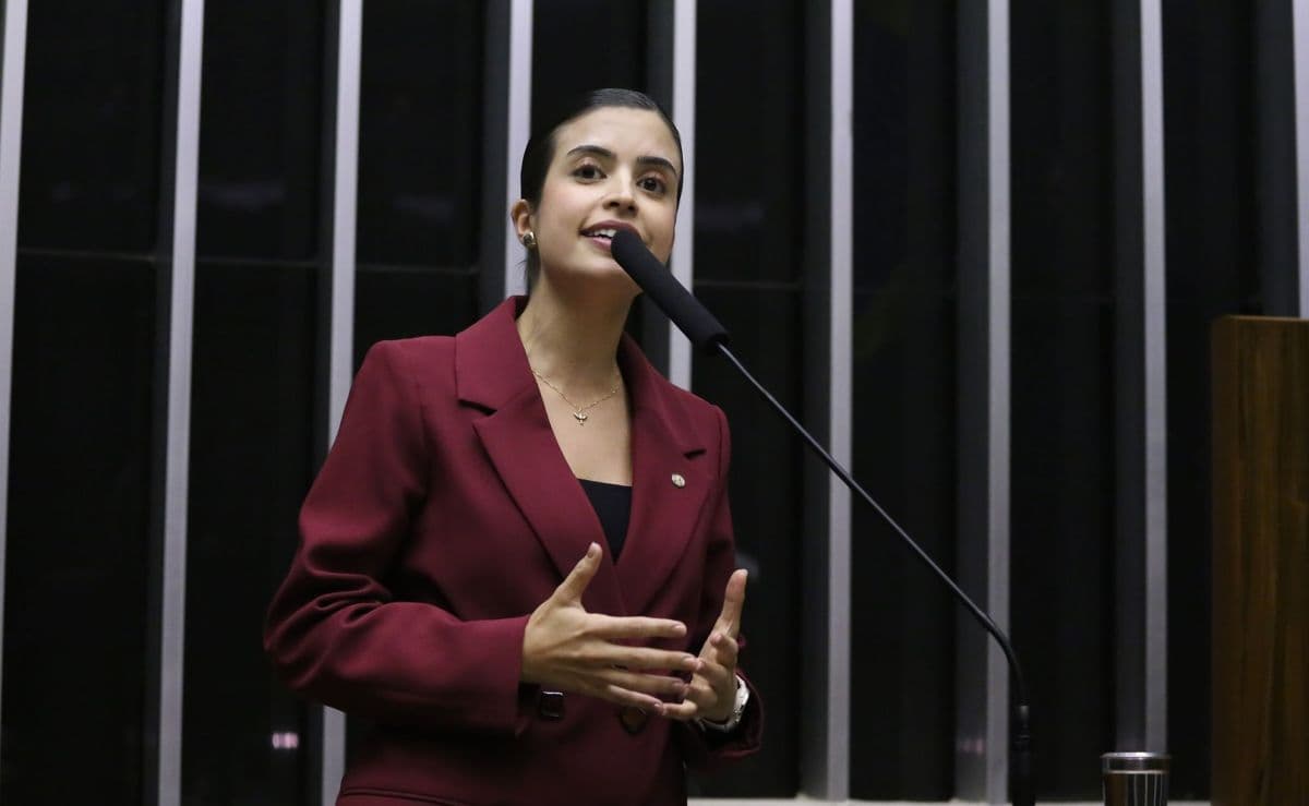 Tabata Amaral lidera grupo para aprovar PL da Misoginia