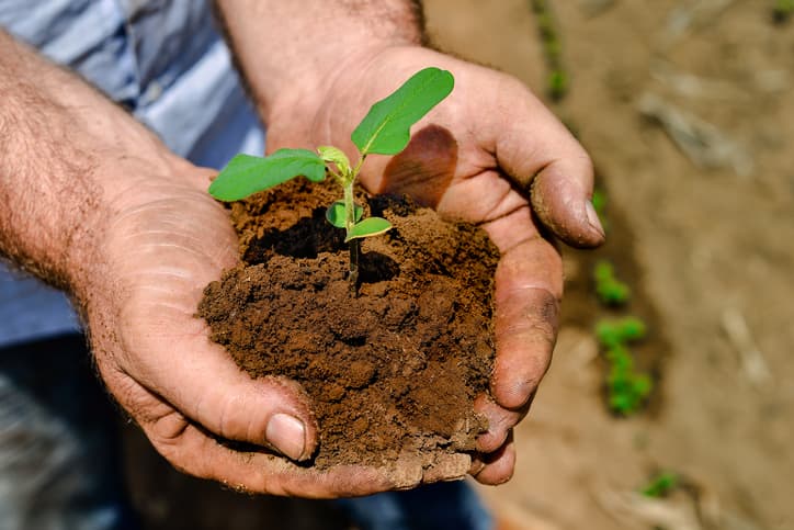 CMN aprova novos valores do PGPAF até 2027 para pequenos agricultores
