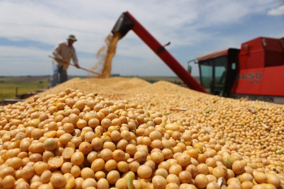 Demanda por soja brasileira cresce e impulsiona preços internos