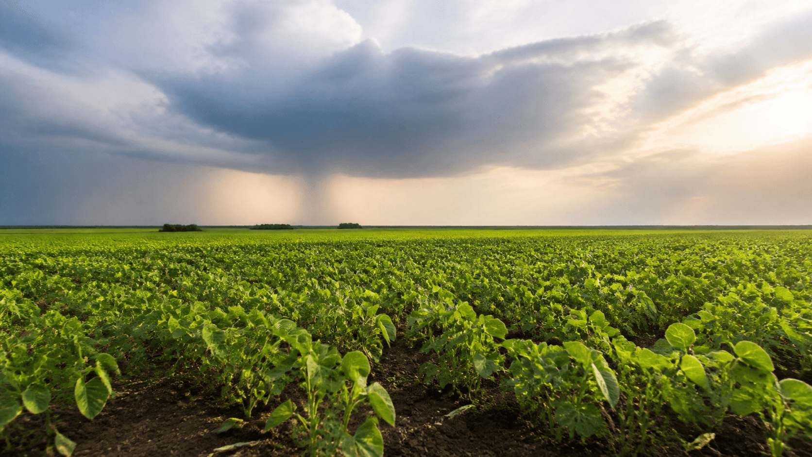Temperaturas sobem após frente fria; previsão de chuvas em várias regiões