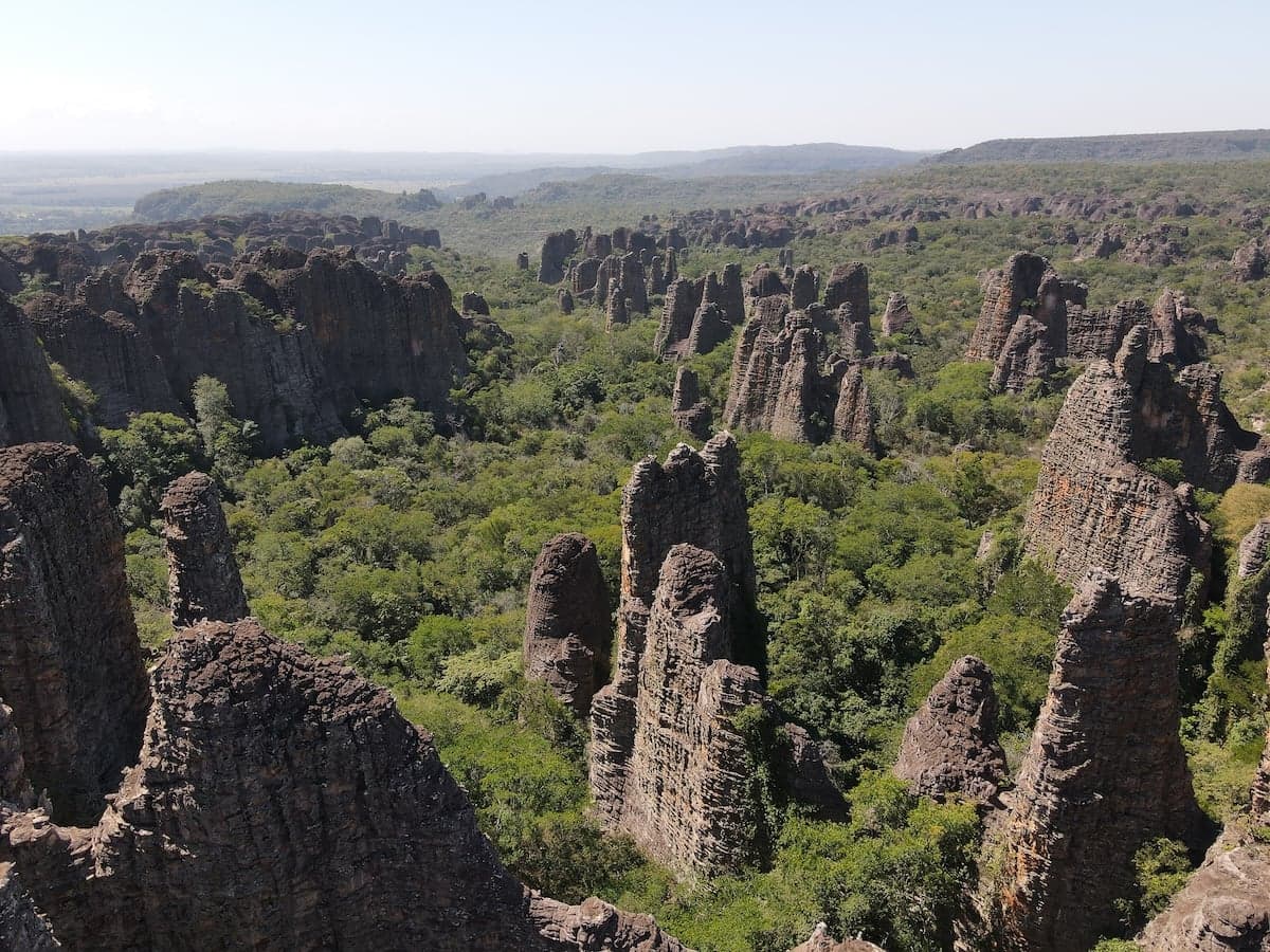 Sustentabilidade é chave no tratamento de sementes no Brasil