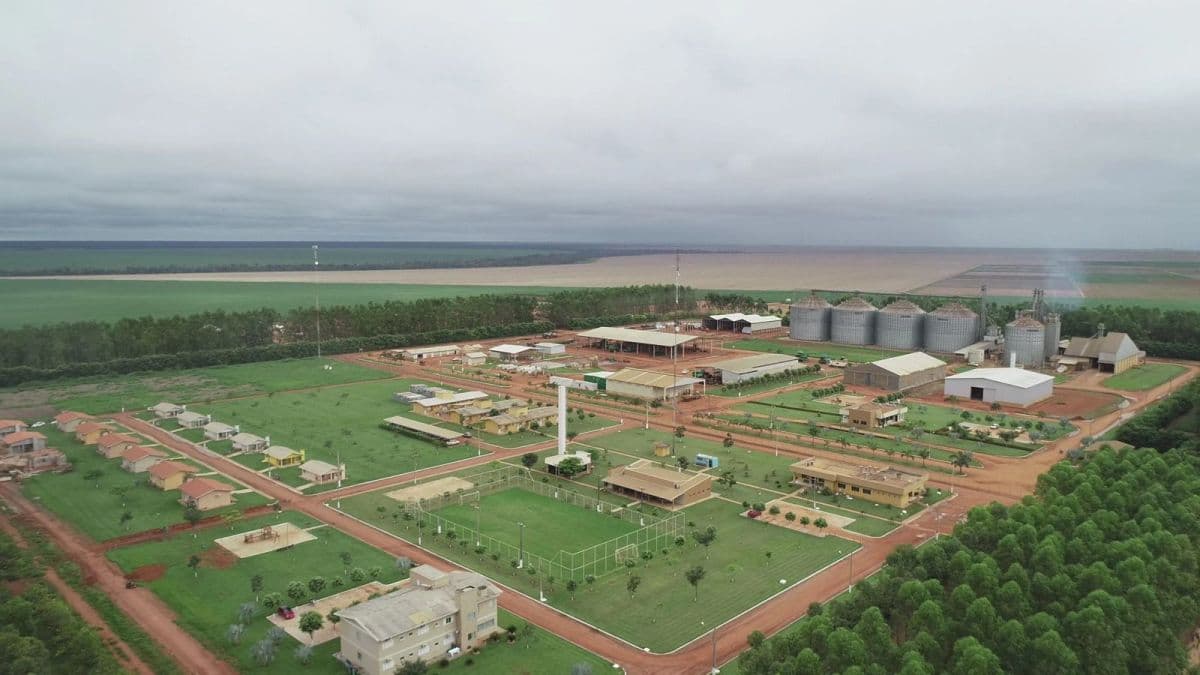 SLC Agrícola e Grupo Bom Futuro dividem bloco de terras em acordo
