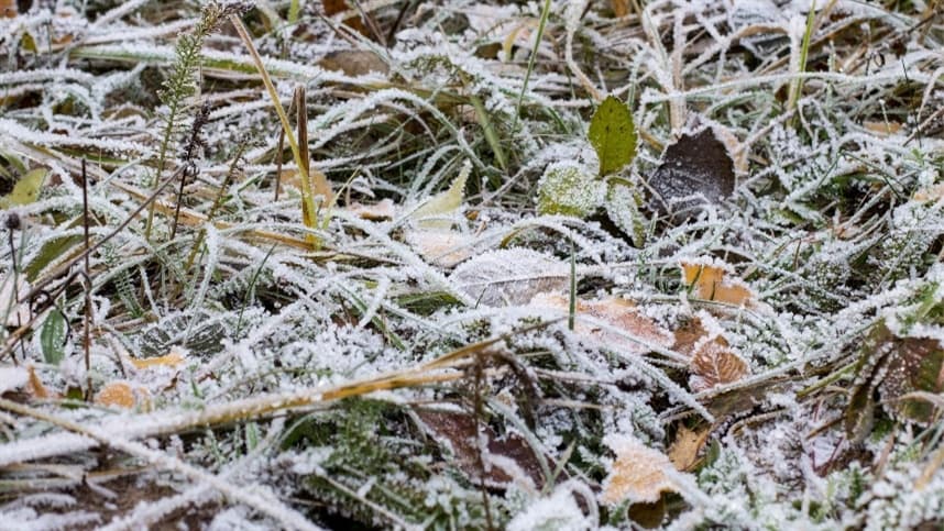 Inverno de 2026 terá chuvas abaixo da média e El Niño forte