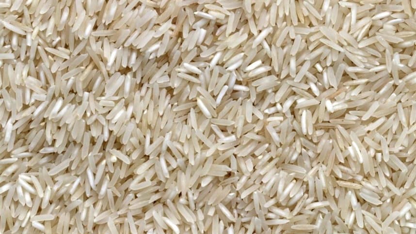 Índia considera usar arroz para etanol, impactando mercado global
