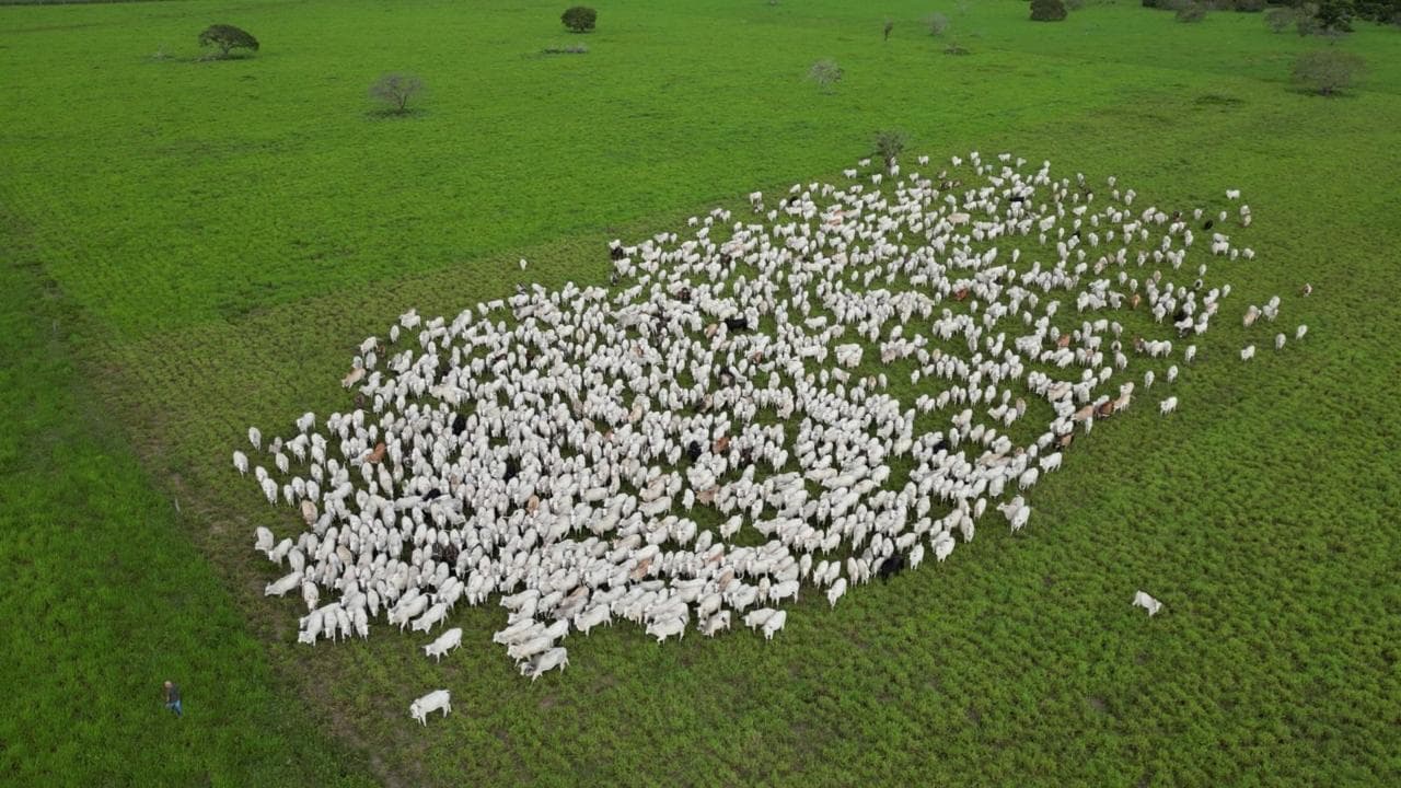 Tecnologia revoluciona gestão de fazendas no Tocantins