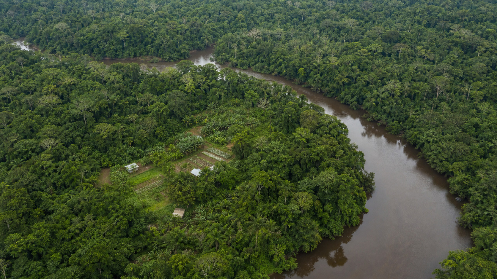 BNDES é essencial para bioeconomia na Amazônia, diz OCDE