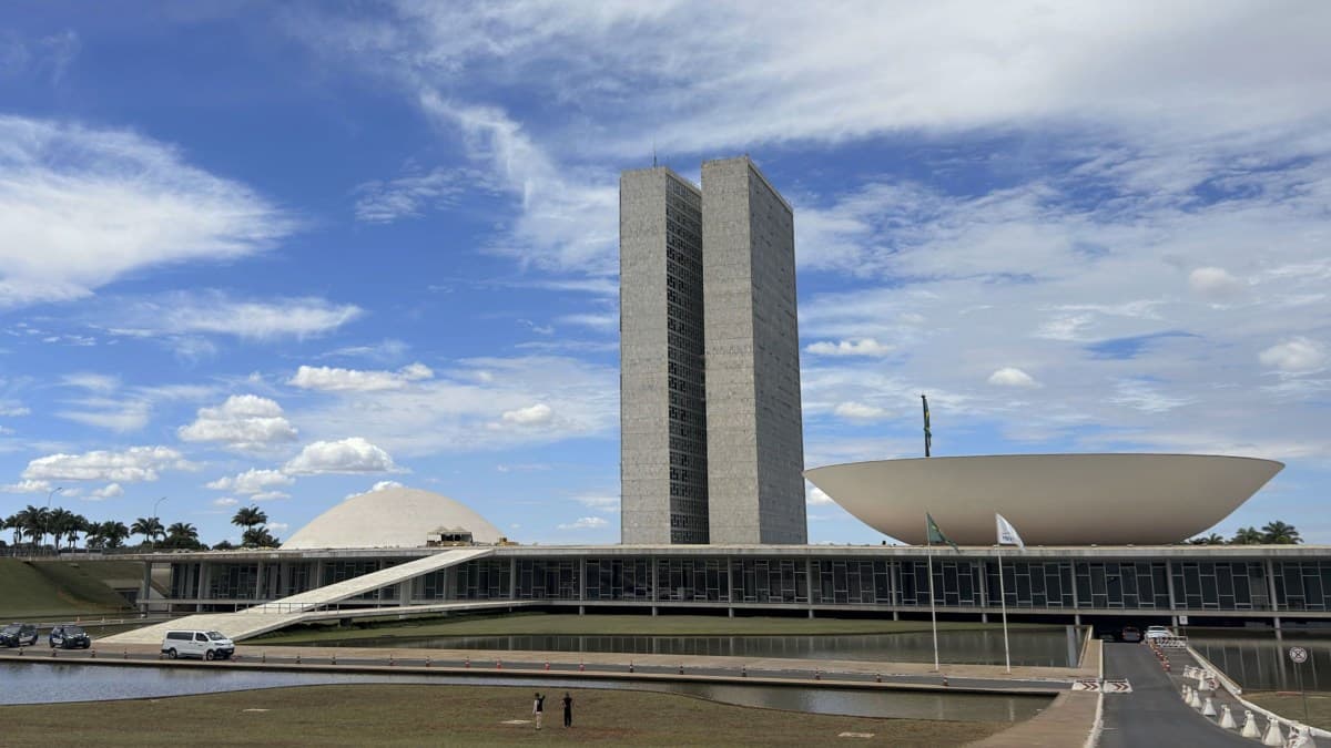 Novo Congresso Nacional mantém perfil de homens brancos e altamente escolarizados