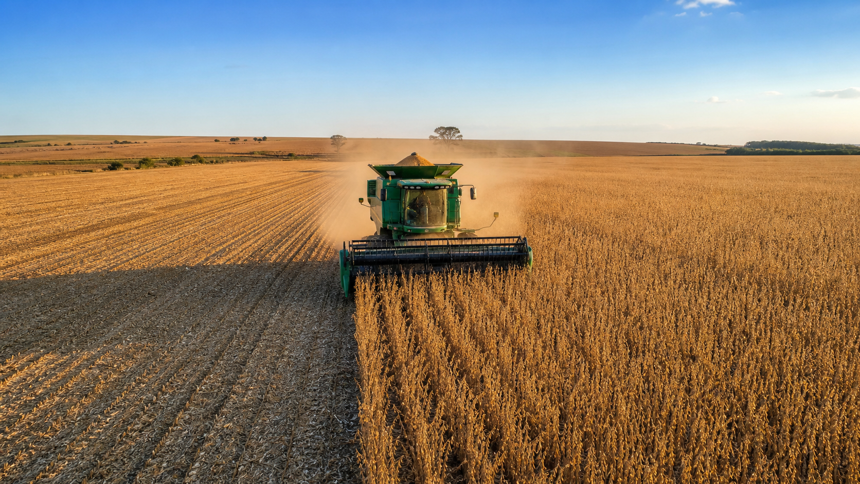 Milho em Mato Grosso: colheita avança e produtividade supera expectativas