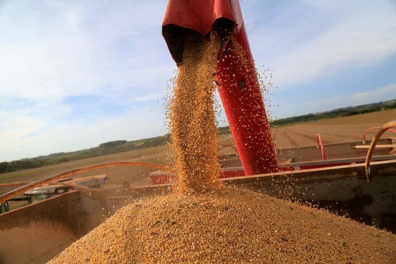 Brasil deve alcançar recorde de 62,5 milhões de toneladas de soja