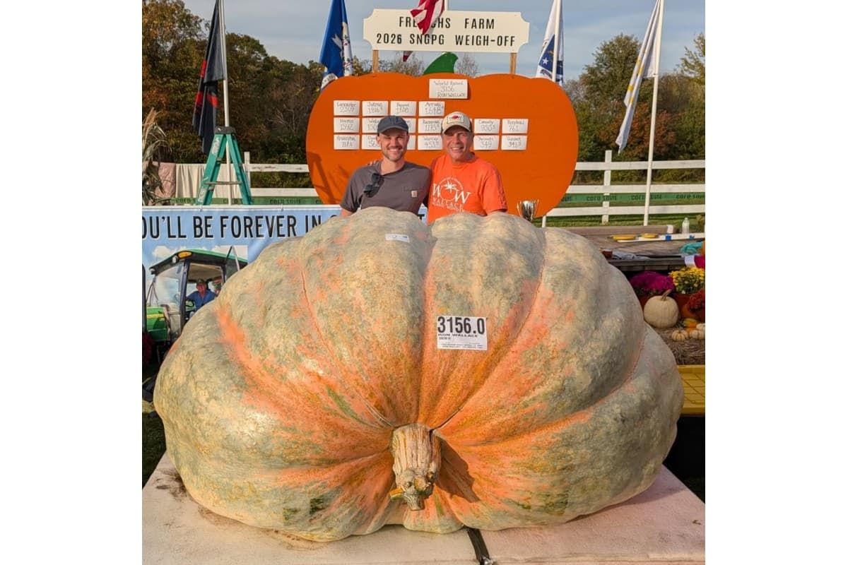 Abóbora de 1.432 kg nos EUA bate recorde mundial