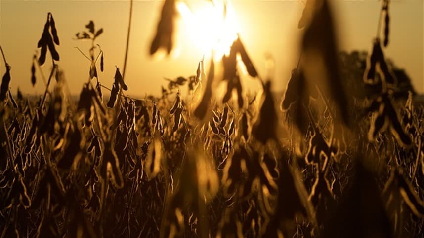 Moratória da soja é criticada por impacto no agronegócio nacional