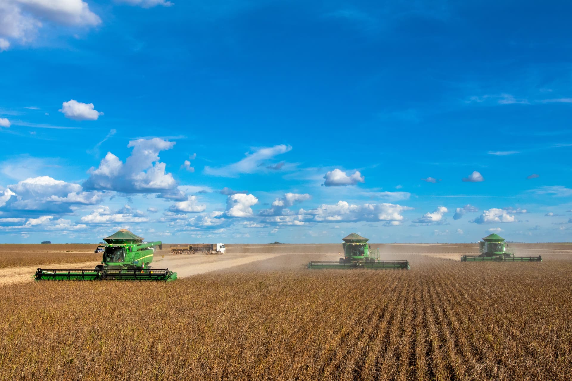 Produção de soja no Brasil: mais volume ou maior valor agregado?