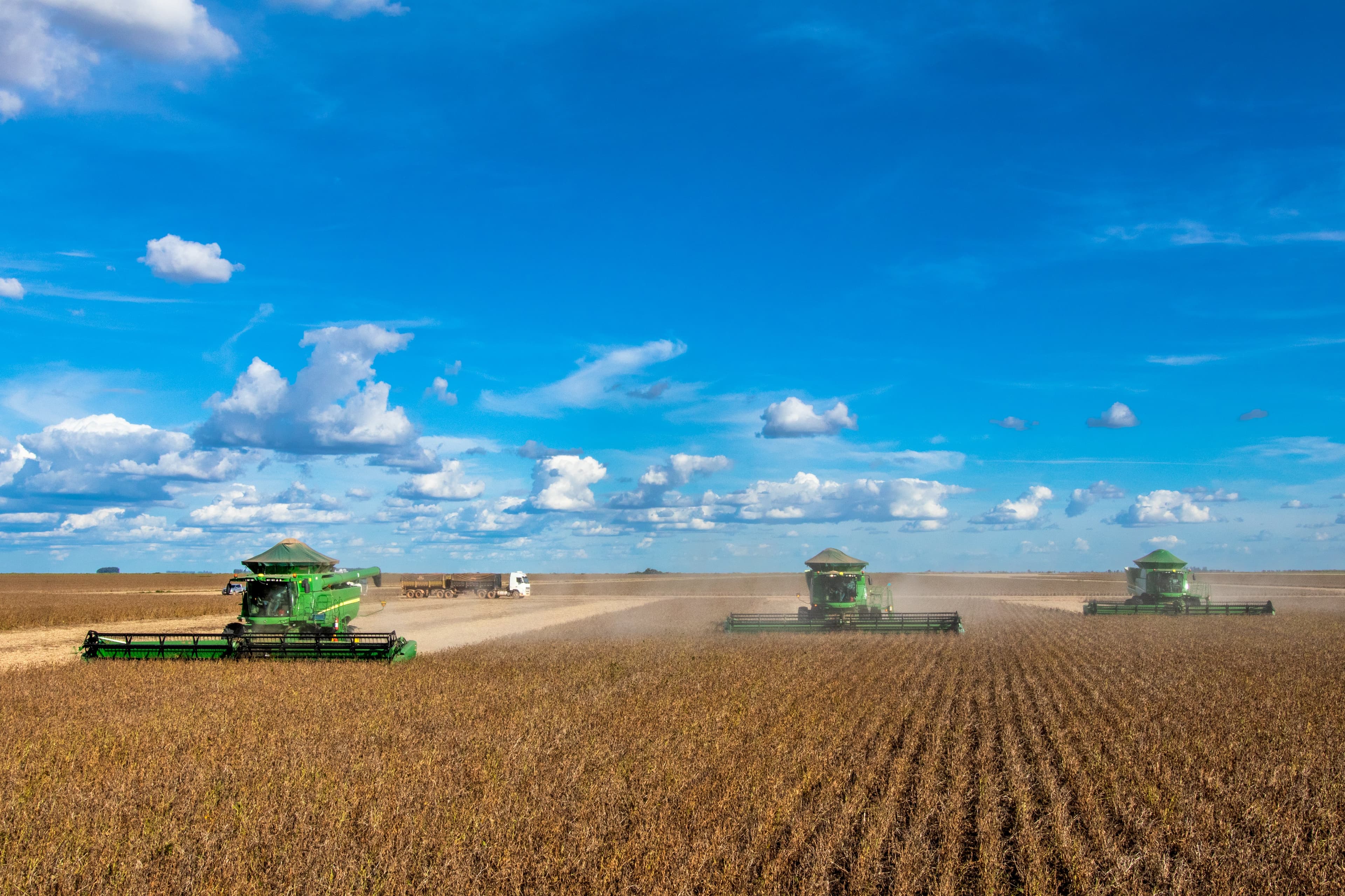 Produção de soja no Brasil: mais volume ou maior valor agregado?